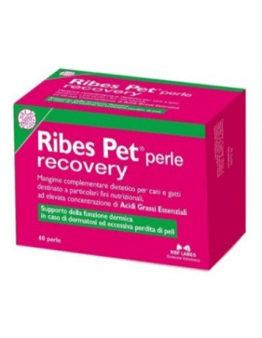 Nbf Lanes  Ribes Pet Recovery 60 Perle